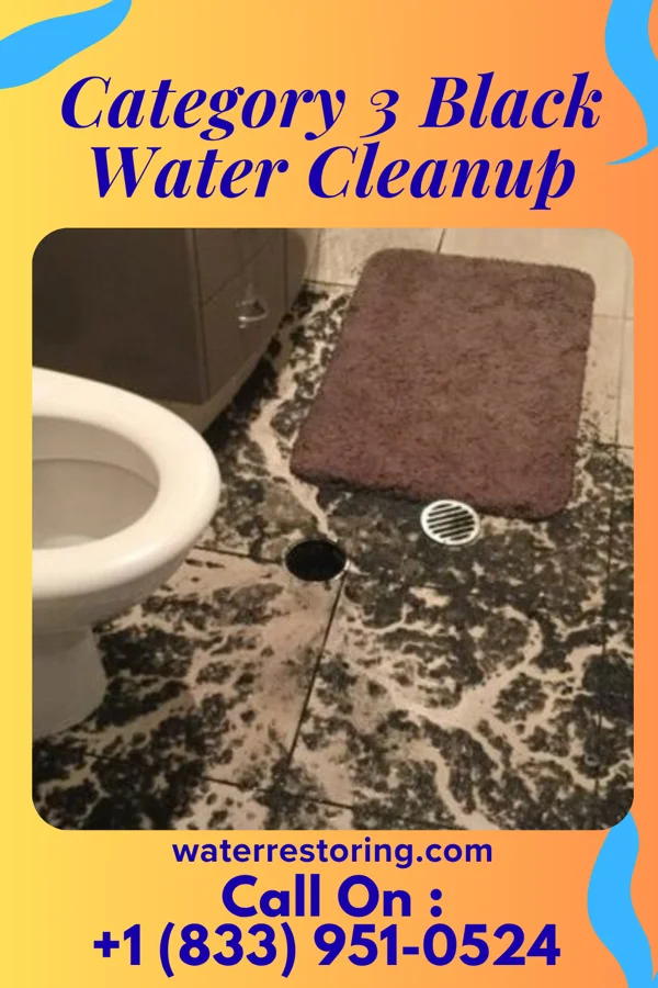 Category 3 Black Water Cleanup in Ramey, PA