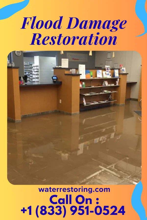 Flood Damage Restoration in Ramey, PA