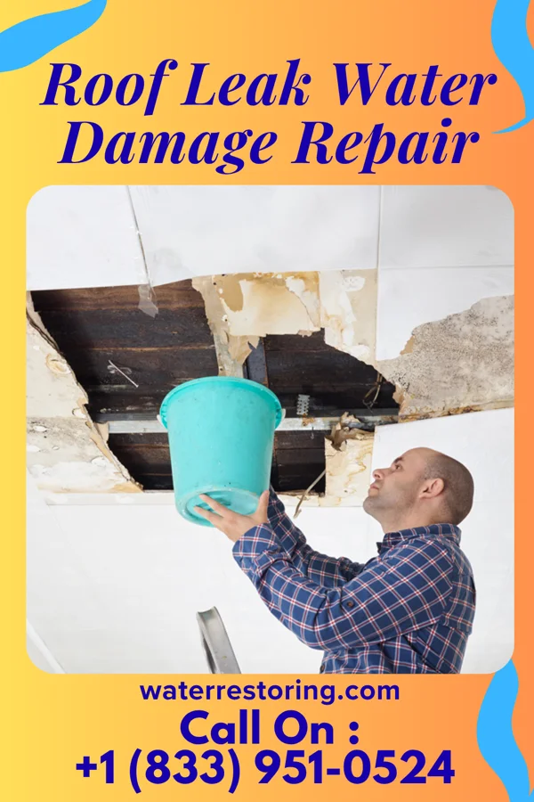 Roof Leak Water Damage Repair in Ramey, PA