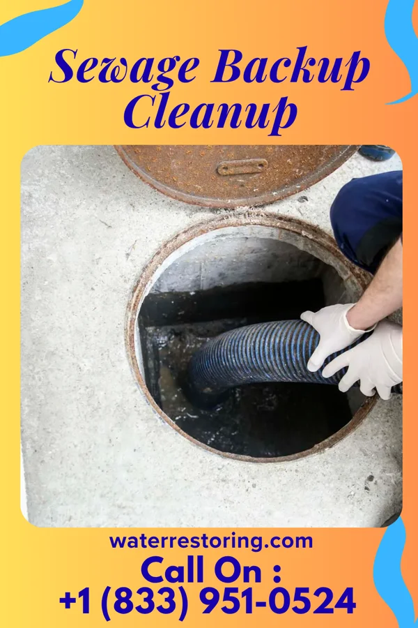 Sewage Backup Cleanup in Ramey, PA
