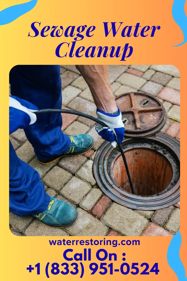 Sewage Water Cleanup in Ramey, PA